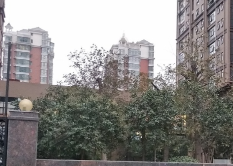 亚星会员管理