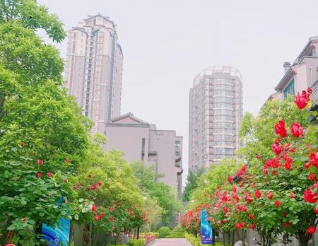亚星代理管理网